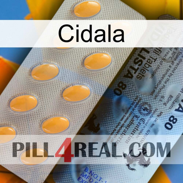 Cidala 44